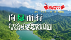 <strong>从逃求速度和规模</strong>