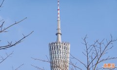 乘262、468、旅逛参